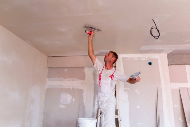 Best Commercial Painting  in Dixon, KY